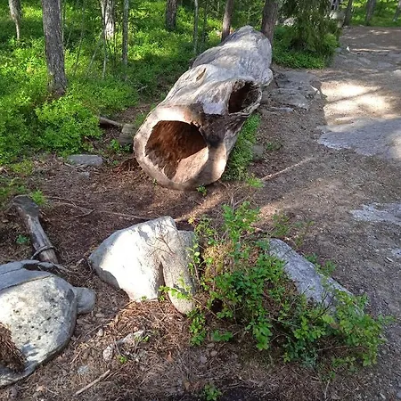 Ellivuori. Ellin Pooli 4