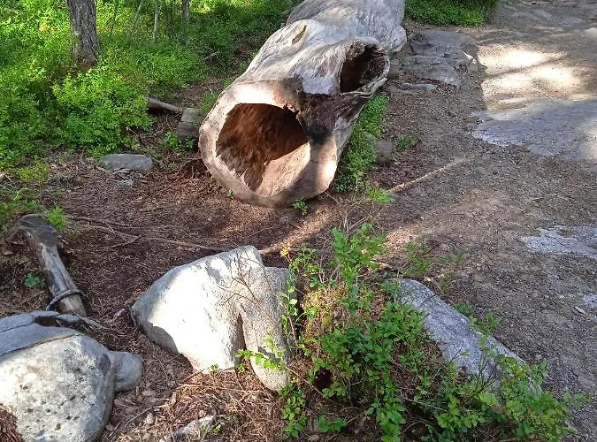 Ellivuori. Ellin Pooli 4